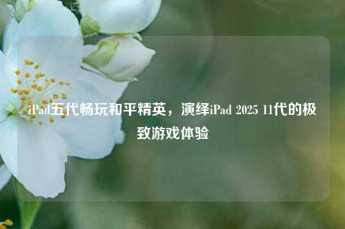 iPad五代畅玩和平精英，演绎iPad 2025 11代的极致游戏体验