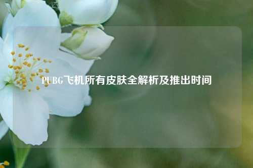 PUBG飞机所有皮肤全解析及推出时间