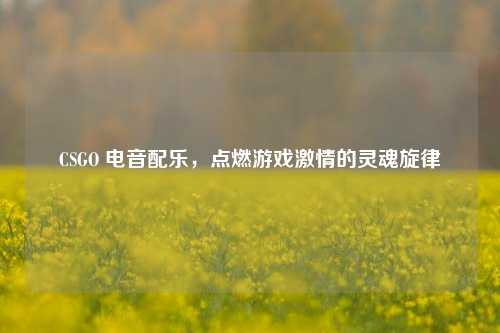 CSGO 电音配乐，点燃游戏激情的灵魂旋律