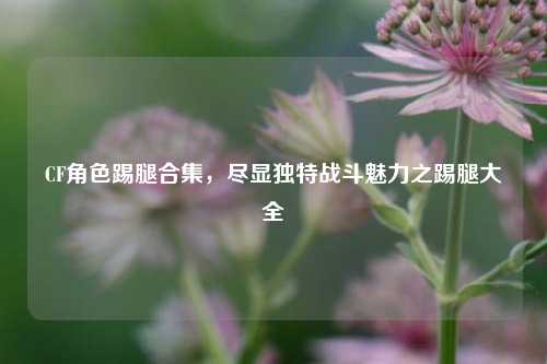 CF角色踢腿合集,尽显独特战斗魅力之踢腿大全