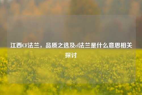 江西CF法兰，品质之选及cf法兰是什么意思相关探讨