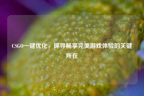 CSGO一键优化，探寻畅享完美游戏体验的关键所在