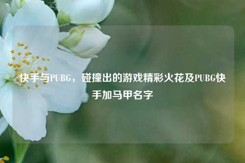 快手与PUBG，碰撞出的游戏精彩火花及PUBG快手加马甲名字
