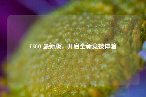 CSGO 最新版，开启全新竞技体验