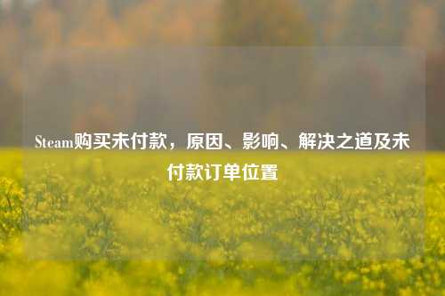 Steam购买未付款，原因、影响、解决之道及未付款订单位置