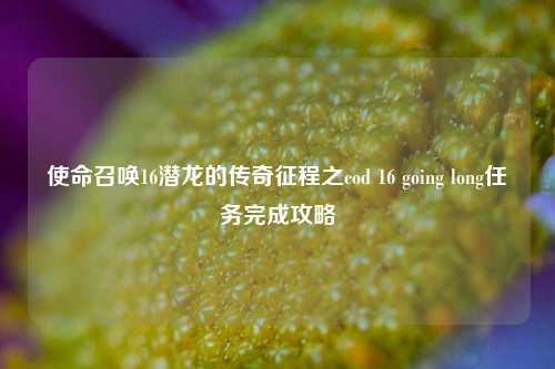 使命召唤16潜龙的传奇征程之cod 16 going long任务完成攻略