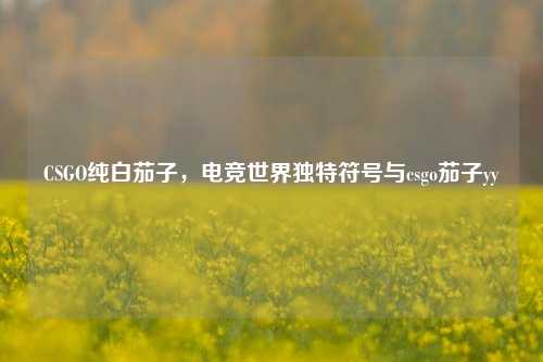 CSGO纯白茄子，电竞世界独特符号与csgo茄子yy