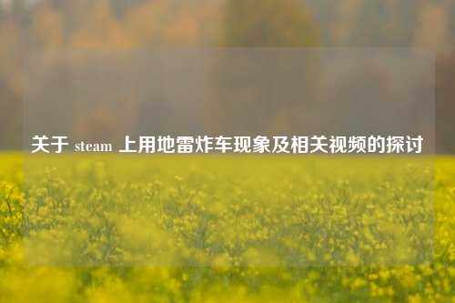 关于 steam 上用地雷炸车现象及相关视频的探讨