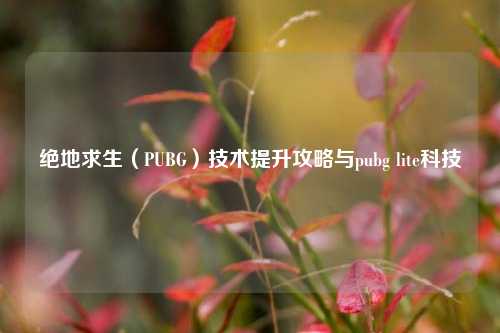 绝地求生（PUBG）技术提升攻略与pubg lite科技