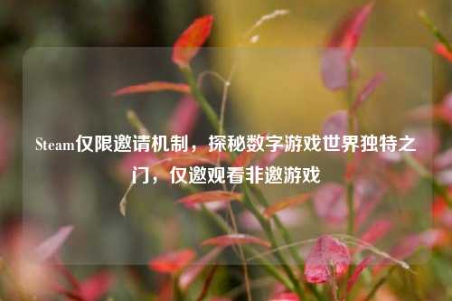 Steam仅限邀请机制，探秘数字游戏世界独特之门，仅邀观看非邀游戏