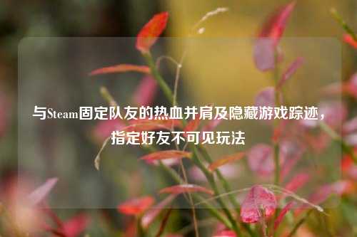 与Steam固定队友的热血并肩及隐藏游戏踪迹，指定好友不可见玩法