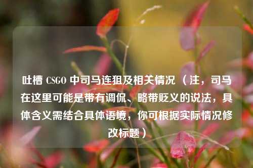 吐槽 CSGO 中司马连狙及相关情况 （注，司马在这里可能是带有调侃、略带贬义的说法，具体含义需结合具体语境，你可根据实际情况修改标题）