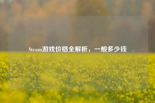 Steam游戏价格全解析，一般多少钱