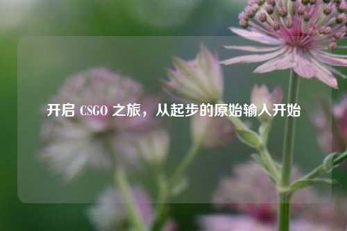 开启 CSGO 之旅，从起步的原始输入开始