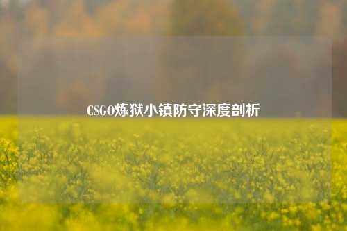CSGO炼狱小镇防守深度剖析