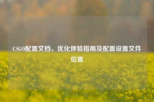 CSGO配置文档，优化体验指南及配置设置文件位置