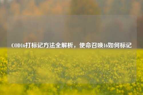 COD16打标记方法全解析，使命召唤16如何标记