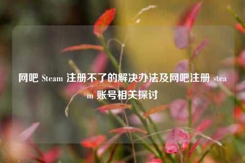 网吧 Steam 注册不了的解决办法及网吧注册 steam 账号相关探讨