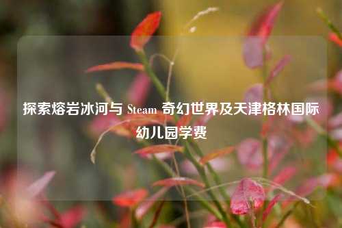 探索熔岩冰河与 Steam 奇幻世界及天津格林国际幼儿园学费