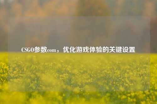 CSGO参数com，优化游戏体验的关键设置