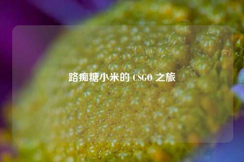 路痴糖小米的 CSGO 之旅