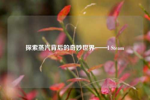 探索蒸汽背后的奇妙世界——I Steam