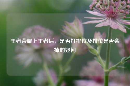 王者荣耀上王者后,是否打排位及排位是否会掉的疑问