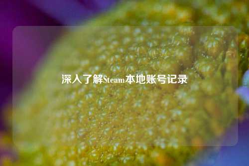 深入了解Steam本地账号记录