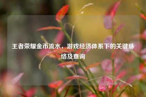 王者荣耀金币流水，游戏经济体系下的关键脉络及查询