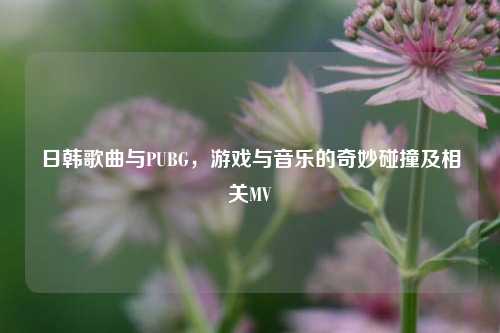 日韩歌曲与PUBG，游戏与音乐的奇妙碰撞及相关MV