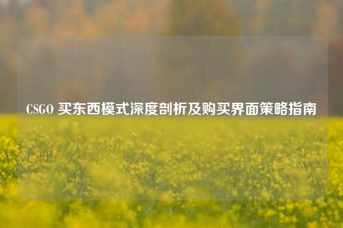 CSGO 买东西模式深度剖析及购买界面策略指南