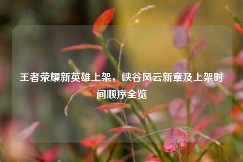 王者荣耀新英雄上架，峡谷风云新章及上架时间顺序全览