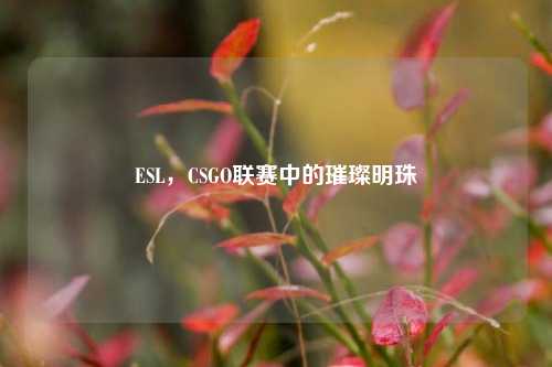 ESL，CSGO联赛中的璀璨明珠