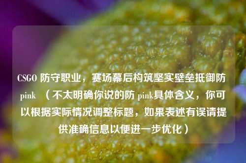 CSGO 防守职业，赛场幕后构筑坚实壁垒抵御防 pink  （不太明确你说的防 pink具体含义，你可以根据实际情况调整标题，如果表述有误请提供准确信息以便进一步优化）