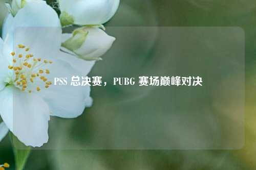 PSS 总决赛，PUBG 赛场巅峰对决