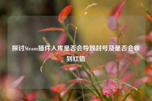 探讨Steam插件入库是否会导致封号及是否会收到红信