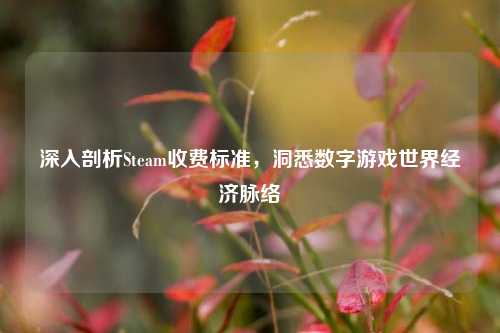 深入剖析Steam收费标准，洞悉数字游戏世界经济脉络