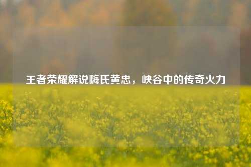 王者荣耀解说嗨氏黄忠，峡谷中的传奇火力