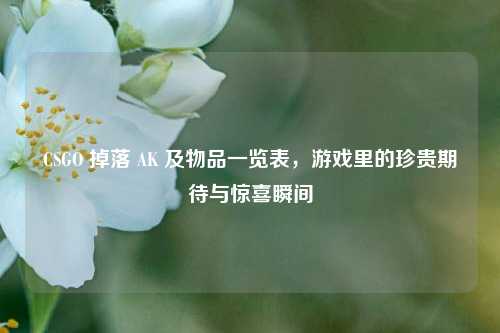 CSGO 掉落 AK 及物品一览表，游戏里的珍贵期待与惊喜瞬间