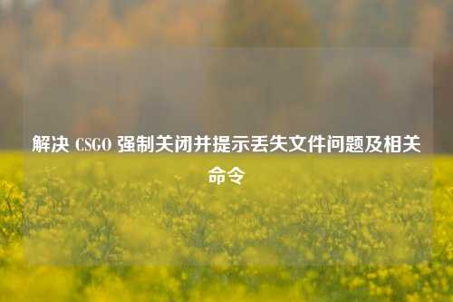 解决 CSGO 强制关闭并提示丢失文件问题及相关命令