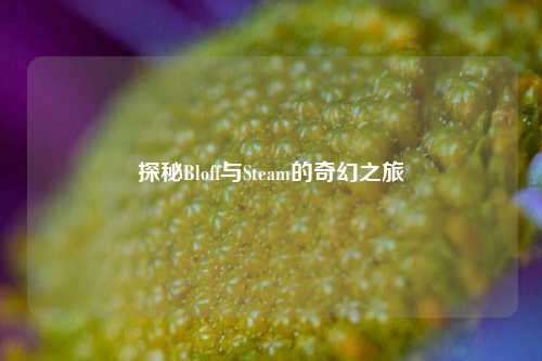 探秘Bloff与Steam的奇幻之旅