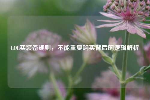 LOL买装备规则，不能重复购买背后的逻辑解析