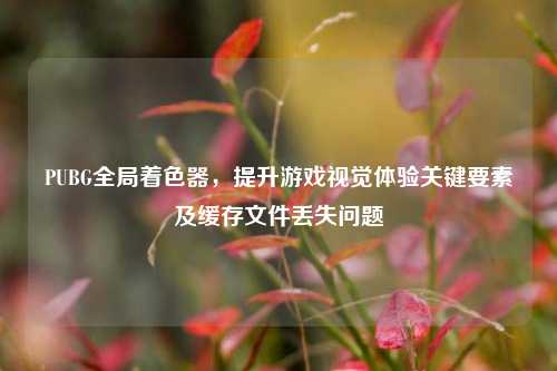 PUBG全局着色器，提升游戏视觉体验关键要素及缓存文件丢失问题
