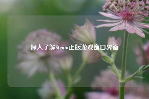 深入了解Steam正版游戏窗口界面