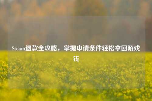 Steam退款全攻略，掌握申请条件轻松拿回游戏钱