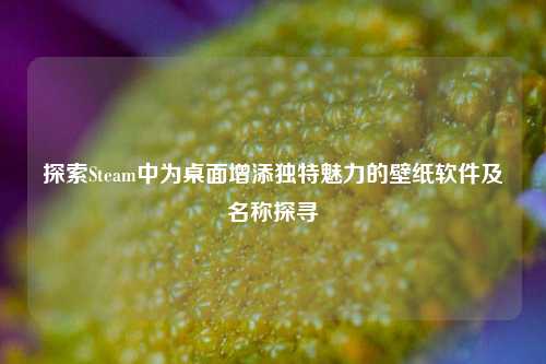 探索Steam中为桌面增添独特魅力的壁纸软件及名称探寻