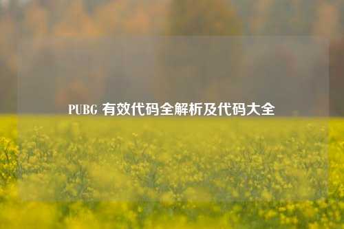 PUBG 有效代码全解析及代码大全