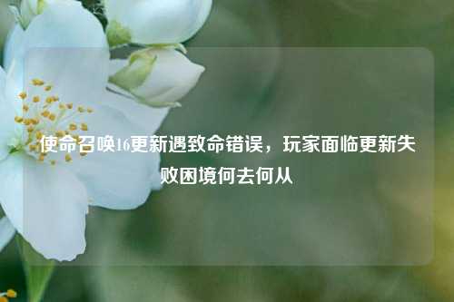 使命召唤16更新遇致命错误，玩家面临更新失败困境何去何从