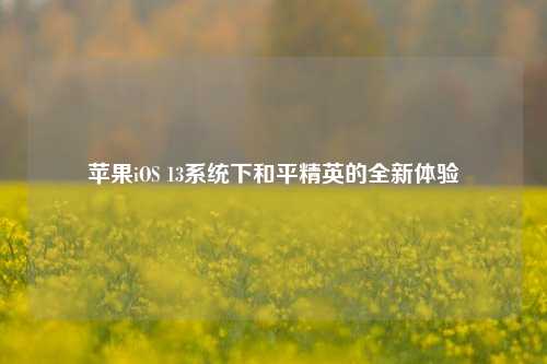 苹果iOS 13系统下和平精英的全新体验