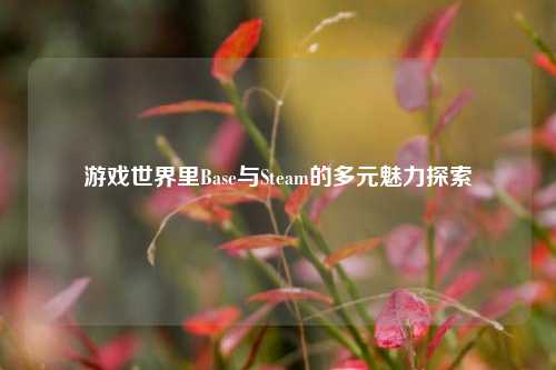 游戏世界里Base与Steam的多元魅力探索